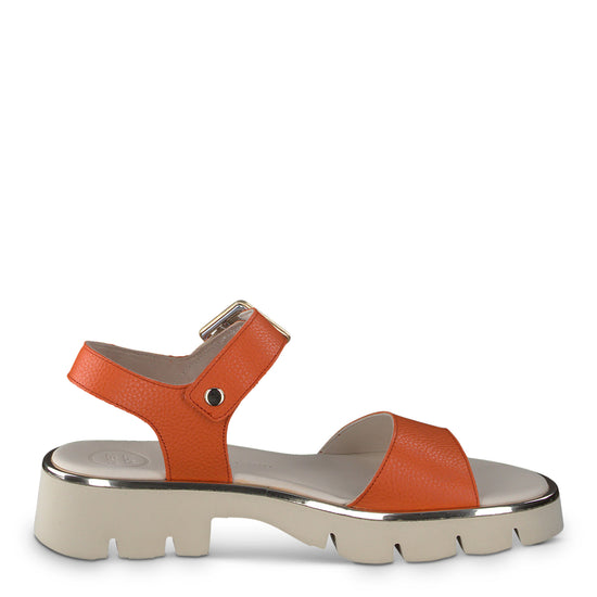 Toby Sandal